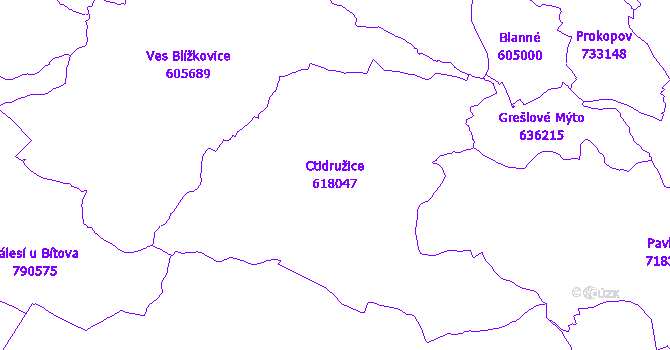 Katastrální mapa Ctidružice - přehledová mapa katastrálního území