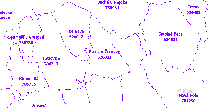Katastrální mapa Rájec u Černavy - přehledová mapa katastrálního území