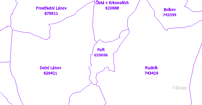 Katastrální mapa Fořt - přehledová mapa katastrálního území
