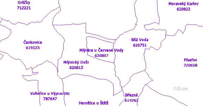 Katastrální mapa Mlýnice u Červené Vody - přehledová mapa katastrálního území