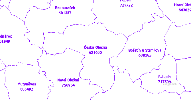 Katastrální mapa Česká Olešná - přehledová mapa katastrálního území