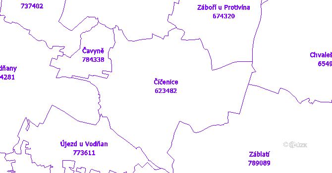 Katastrální mapa Číčenice - přehledová mapa katastrálního území