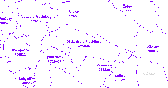 Katastrální mapa Dětkovice u Prostějova - přehledová mapa katastrálního území