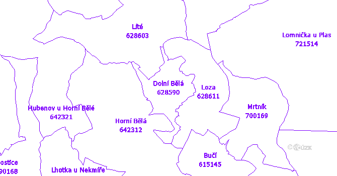Katastrální mapa Dolní Bělá - přehledová mapa katastrálního území