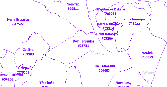 Katastrální mapa Dolní Brusnice - přehledová mapa katastrálního území