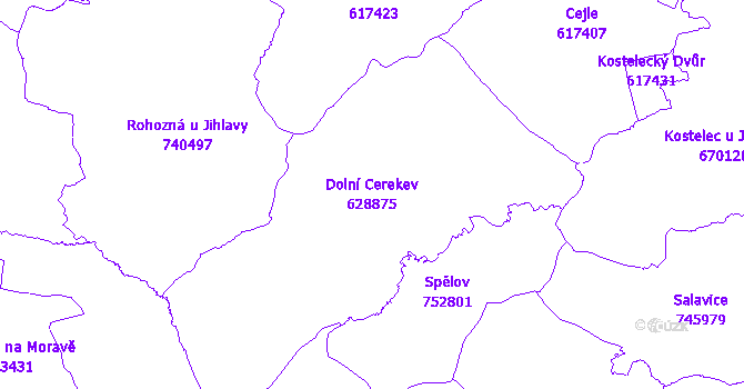 Katastrální mapa Dolní Cerekev - přehledová mapa katastrálního území