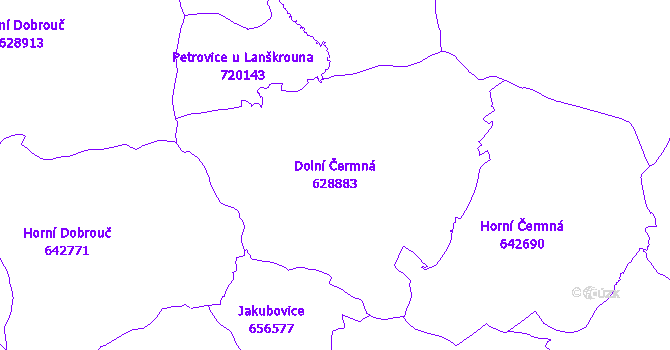 Katastrální mapa Dolní Čermná - přehledová mapa katastrálního území