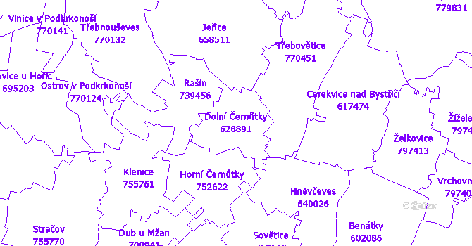 Katastrální mapa Dolní Černůtky - přehledová mapa katastrálního území