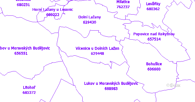 Katastrální mapa Vícenice u Dolních Lažan