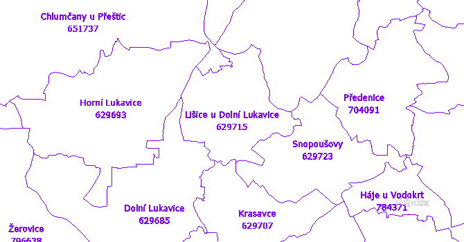 Katastrální mapa Lišice u Dolní Lukavice - přehledová mapa katastrálního území