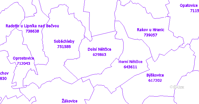 Katastrální mapa Dolní Nětčice - přehledová mapa katastrálního území