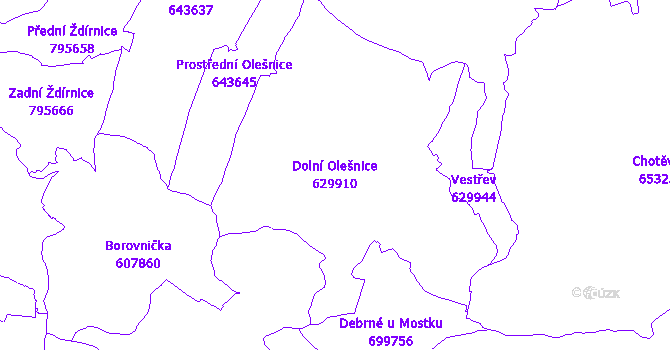 Katastrální mapa Dolní Olešnice