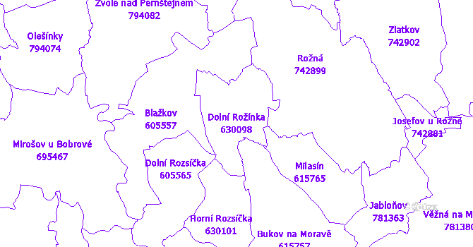 Katastrální mapa Dolní Rožínka - přehledová mapa katastrálního území