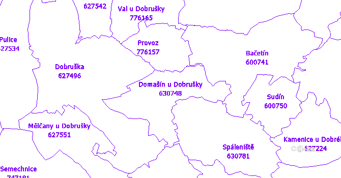 Katastrální mapa Domašín u Dobrušky - přehledová mapa katastrálního území