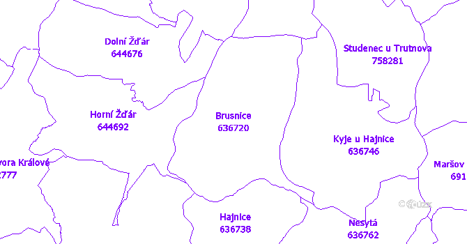 Katastrální mapa Brusnice - přehledová mapa katastrálního území