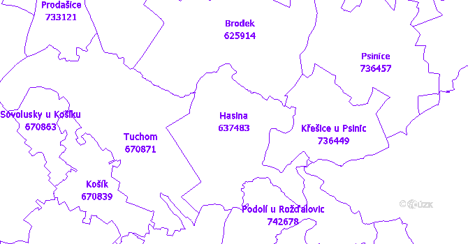 Katastrální mapa Hasina - přehledová mapa katastrálního území
