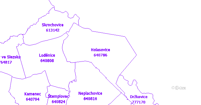 Katastrální mapa Holasovice - přehledová mapa katastrálního území