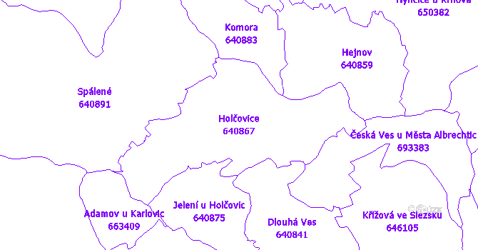 Katastrální mapa Holčovice