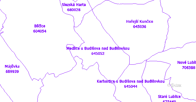 Katastrální mapa Medlice u Budišova nad Budišovkou - přehledová mapa katastrálního území