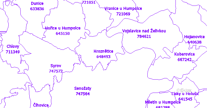 Katastrální mapa Hroznětice - přehledová mapa katastrálního území