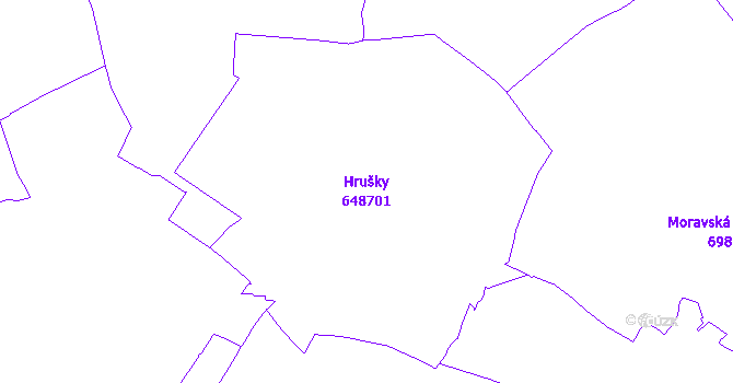 Katastrální mapa Hrušky - přehledová mapa katastrálního území