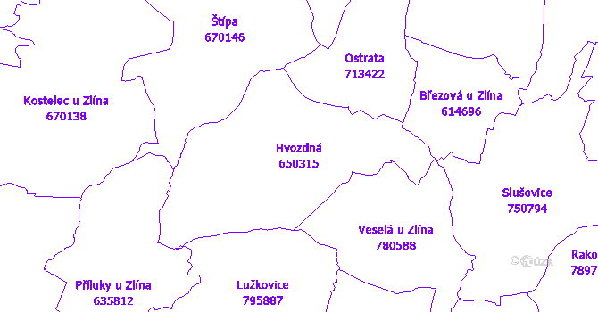 Katastrální mapa Hvozdná - přehledová mapa katastrálního území