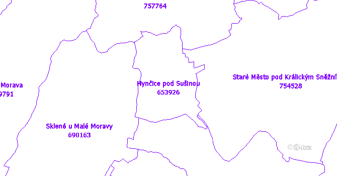 Katastrální mapa Hynčice pod Sušinou - přehledová mapa katastrálního území
