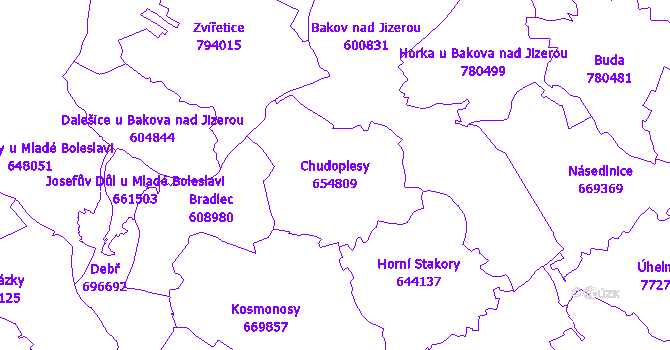 Katastrální mapa Chudoplesy - přehledová mapa katastrálního území