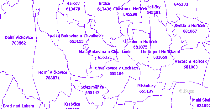 Katastrální mapa Malá Bukovina u Chvalkovic - přehledová mapa katastrálního území