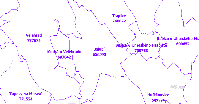 Katastrální mapa Jalubí - přehledová mapa katastrálního území