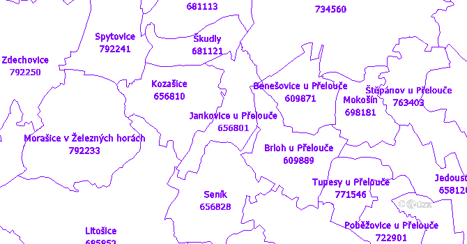 Katastrální mapa Jankovice u Přelouče - přehledová mapa katastrálního území