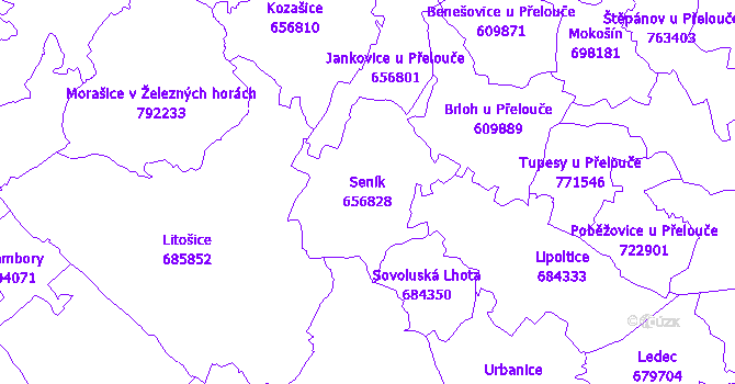 Katastrální mapa Seník - přehledová mapa katastrálního území