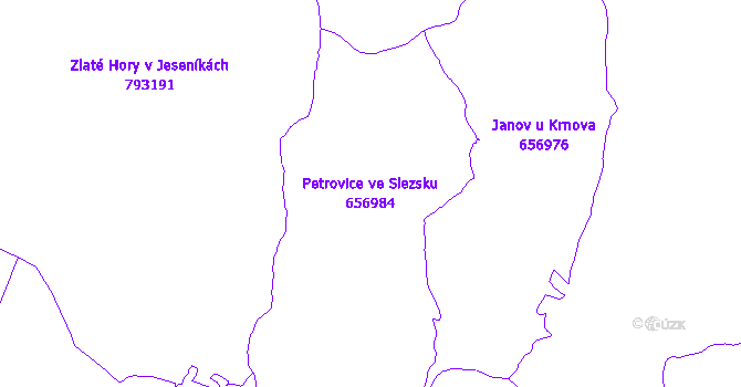 Katastrální mapa Petrovice ve Slezsku - přehledová mapa katastrálního území