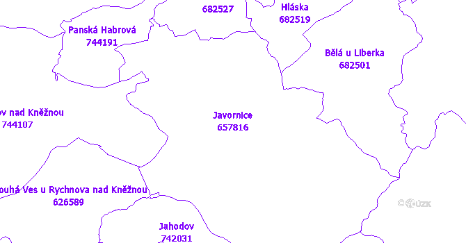 Katastrální mapa Javornice - přehledová mapa katastrálního území