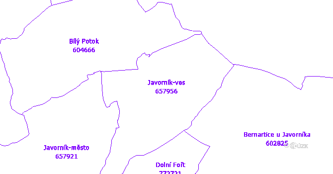 Katastrální mapa Javorník-ves - přehledová mapa katastrálního území