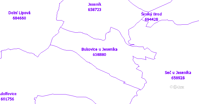 Katastrální mapa Bukovice u Jeseníka - přehledová mapa katastrálního území