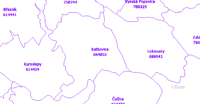 Katastrální mapa Ketkovice - přehledová mapa katastrálního území