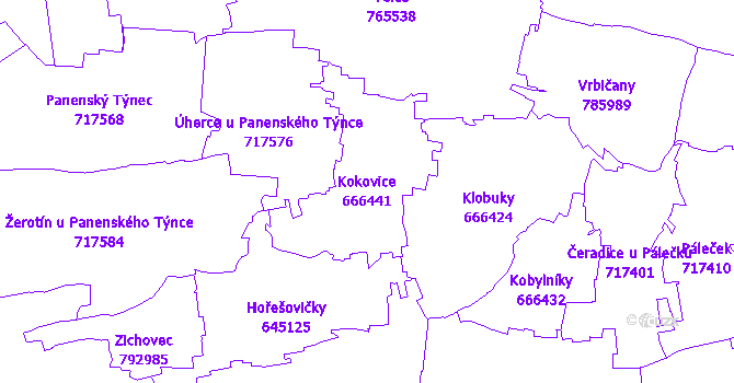 Katastrální mapa Kokovice - přehledová mapa katastrálního území