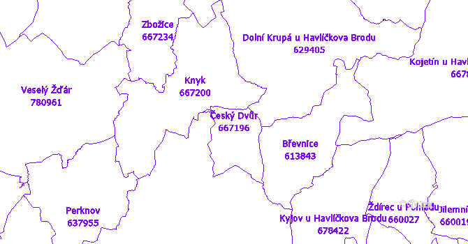 Katastrální mapa Český Dvůr - přehledová mapa katastrálního území