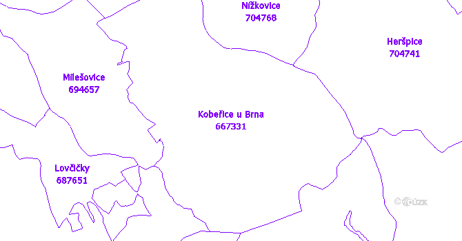 Katastrální mapa Kobeřice u Brna - přehledová mapa katastrálního území