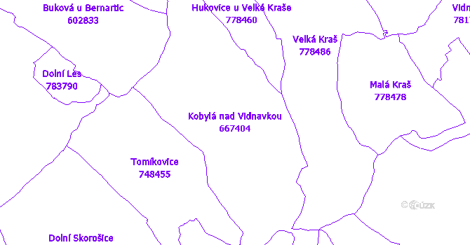 Katastrální mapa Kobylá nad Vidnavkou - přehledová mapa katastrálního území