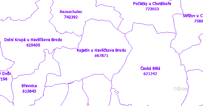 Katastrální mapa Kojetín u Havlíčkova Brodu - přehledová mapa katastrálního území