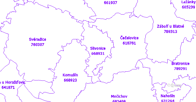 Katastrální mapa Slivonice
