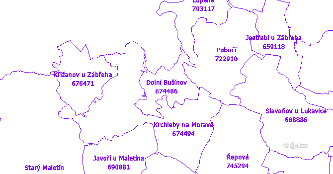 Katastrální mapa Dolní Bušínov - přehledová mapa katastrálního území