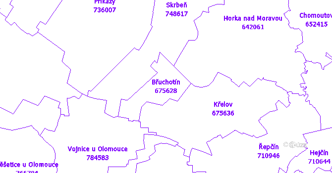 Katastrální mapa Břuchotín - přehledová mapa katastrálního území