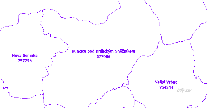 Katastrální mapa Kunčice pod Králickým Sněžníkem - přehledová mapa katastrálního území