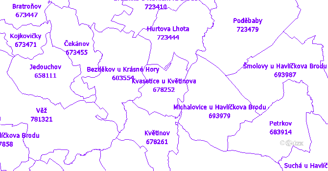 Katastrální mapa Kvasetice u Květinova - přehledová mapa katastrálního území