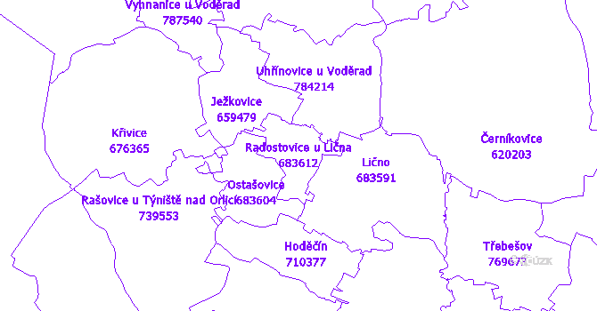 Katastrální mapa Radostovice u Lična - přehledová mapa katastrálního území