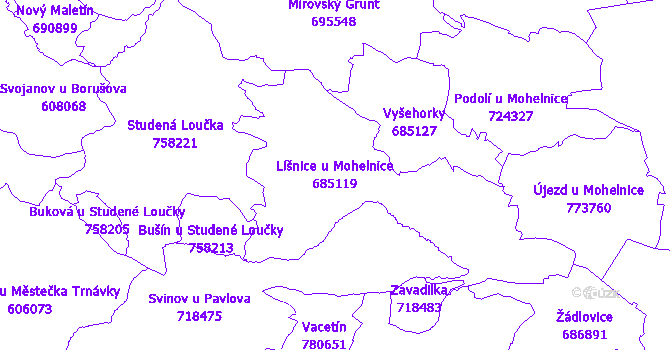 Katastrální mapa Líšnice u Mohelnice - přehledová mapa katastrálního území