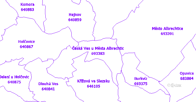 Katastrální mapa Česká Ves u Města Albrechtic - přehledová mapa katastrálního území